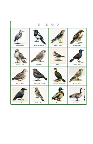Bird Bingo Card